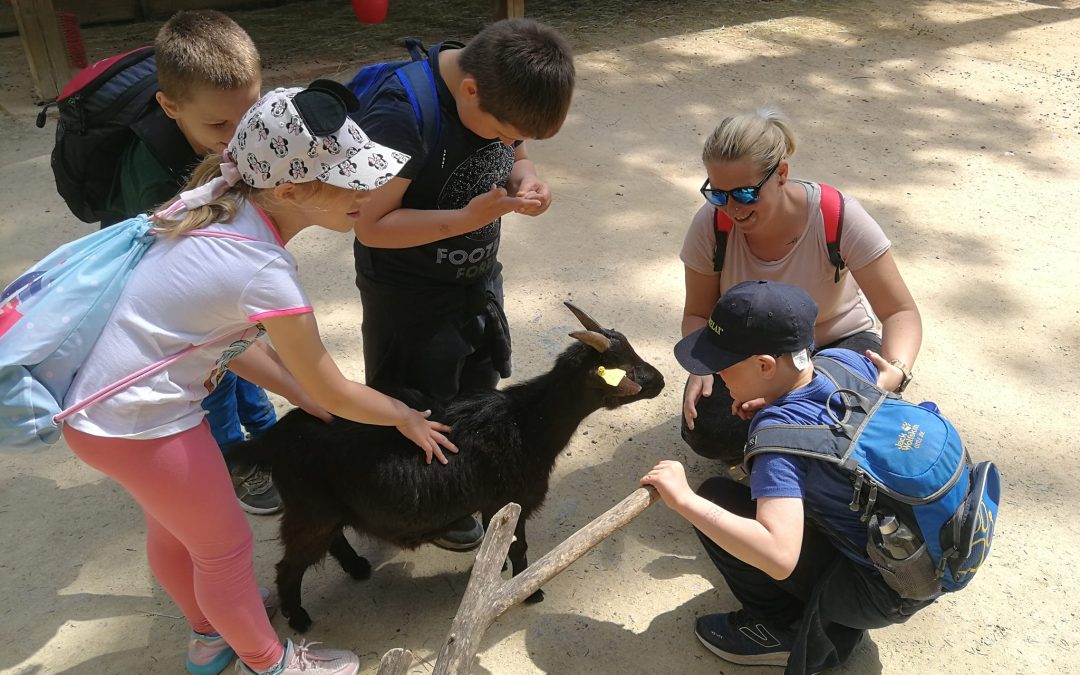 Z JAVNIM PREVOZOM V ZOO